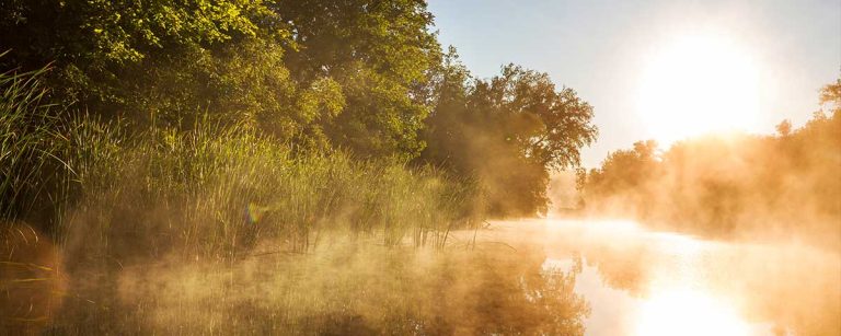 Fog rising off a Northeast Pennsylvania creek at sunrise, showing weather changes affecting fishing conditions